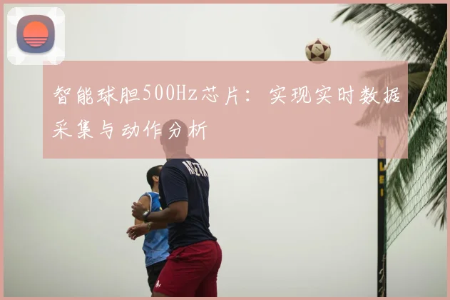 智能球胆500Hz芯片:实现实时数据采集与动作分析